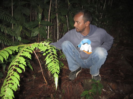 "Mußt Du immer gucken!" Sagte Yazing uns immer wieder.
