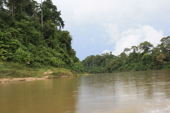 Die Bootsfahrt dauerte fast 3 Stunden.