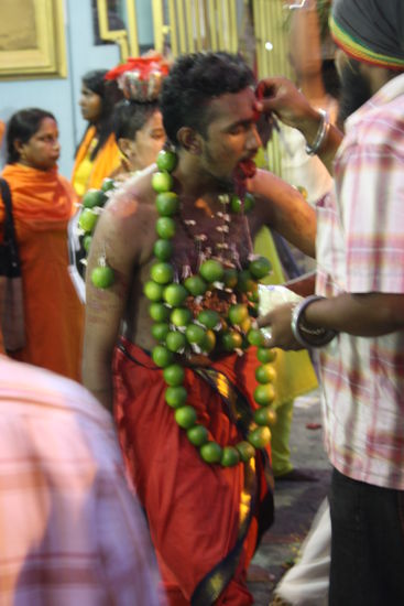 Haken mit Limonen am Rücken und an der Brust.