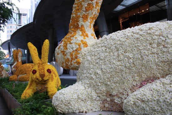 chisesisches Neujahr: Alles deutet auf das Jahr des Hasen hin