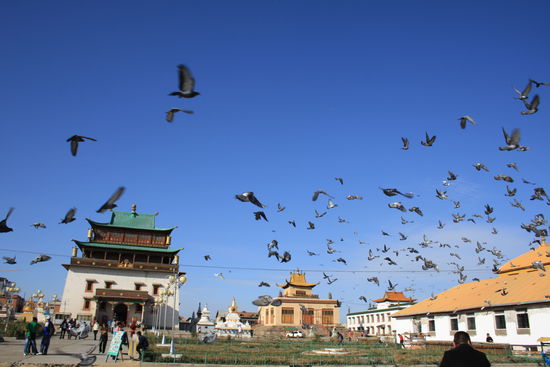 Hihi Tauben aufgeschreck, und da fliegen sie. Hihi.