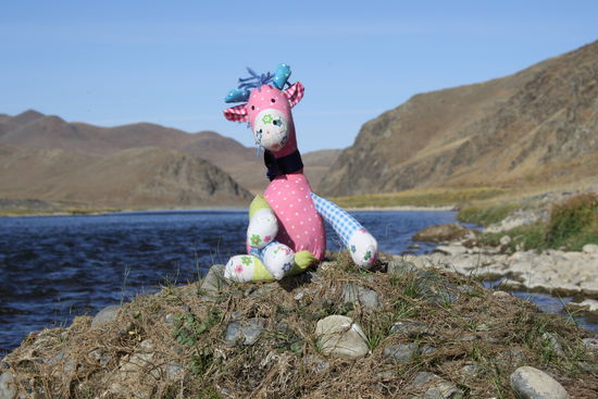 Zwangspause: Platten, der 2.