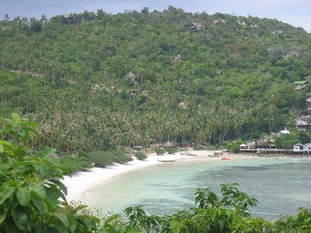 koh tao