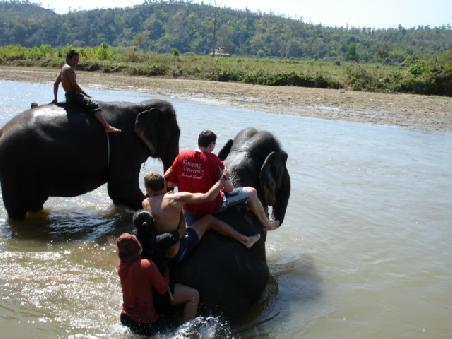 Baden mit Elefant nach wackeligem Dschungeltrip