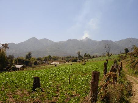 Landschaft um Pai