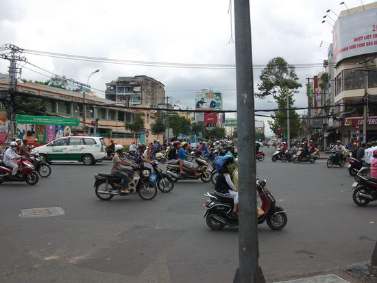Der ganz normale Wahnsinn 
