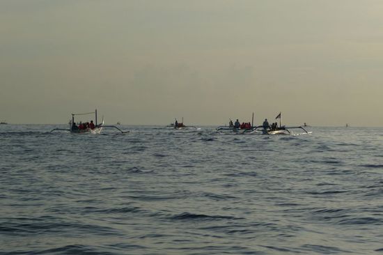 Hier sieht man, wie viele Boote "Jagd" auf die Delfine machen...eigentlich erschreckend