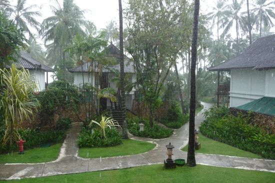 Wer hat den Regen bestellt? 