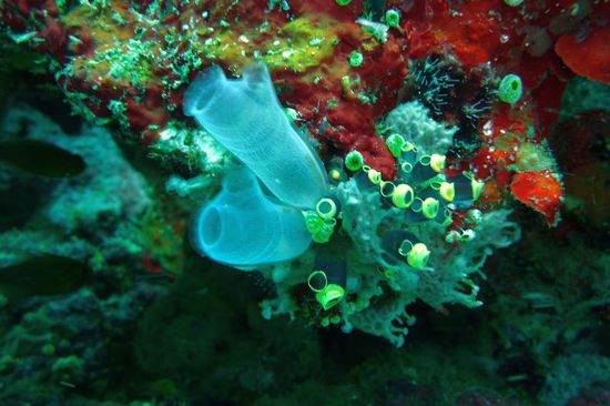 Sieht irre aus, oder?