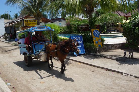 Das einzige Transportmittel auf der Insel