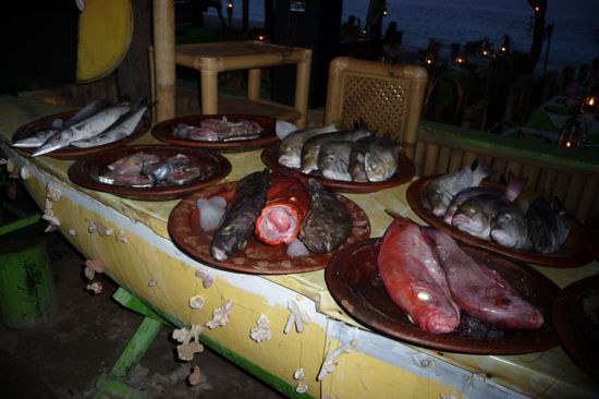 ...und Fisch zur Auswahl