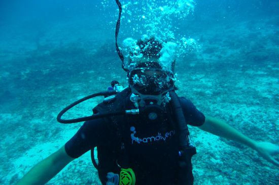 Hier der Fotograf (das Foto hab ich dann mal gemacht  )