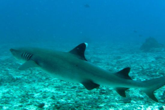 ...um kurz vorher doch noch umzudrehen