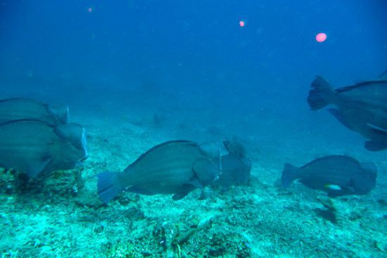 Und da waren soooo viele 