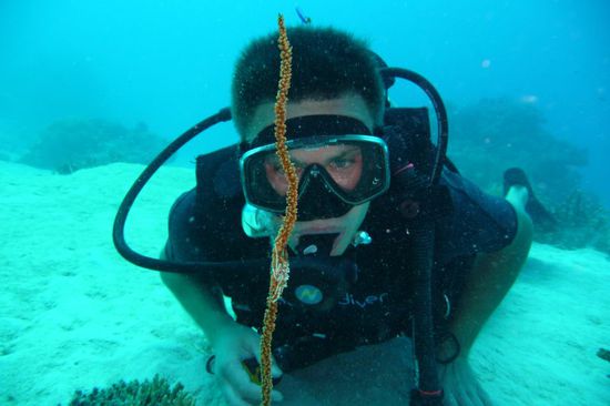 Wer findet den Krebs? Ein kleiner Tipp: Es hat keine Maske auf 