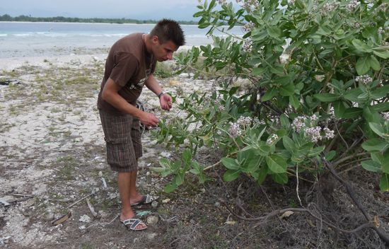 Peter mal wieder auf der Suche nach Blumensamen
