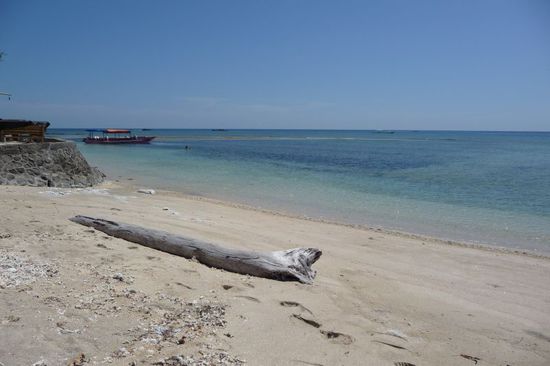 Hier sieht es doch ganz nett aus 