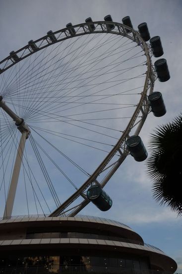 Das höchste Riesenrad der Welt....leider sind wir nicht mitgefahren 