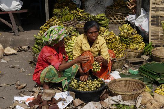 Hier gibt es Bananen...