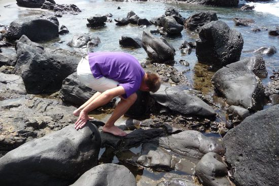 Peter mal wieder auf der Suche...