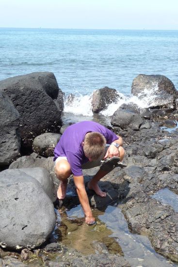 ...wo nach auch immer 