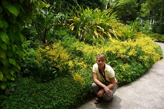 Die gelben Tupfer im Bild sind alles Orchideen