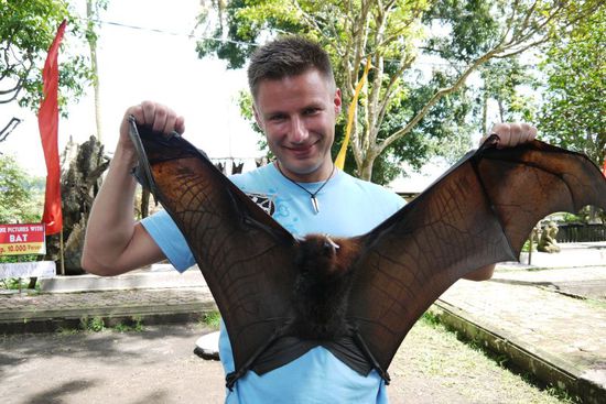 ...und hier dressiert als Batman 