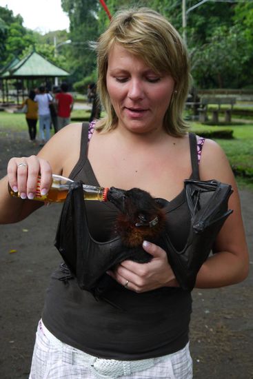 Eigentlich total niedlich...