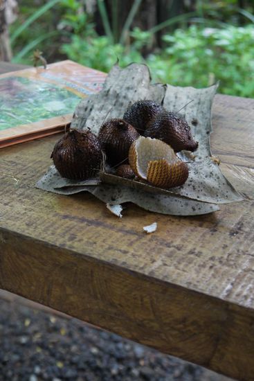 Hier sieht man die Schlangenhautfrucht - als ganze Frucht sowie nur die Schale...
