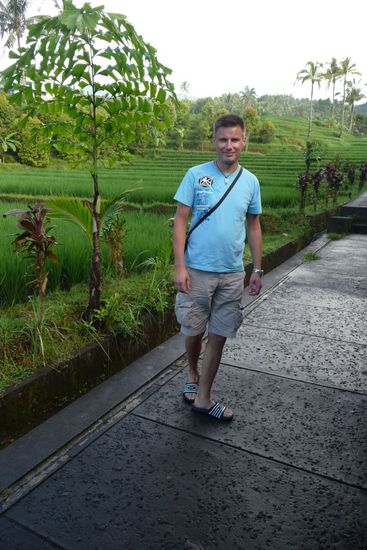 Wieder vorbei an Reisfeldern