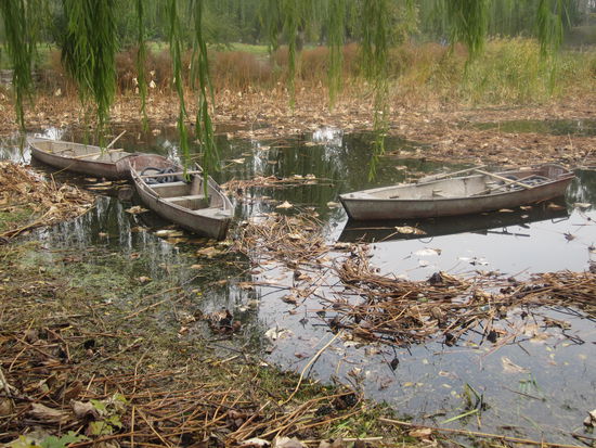 Welch Ruhe in der weitlaeufigen Parkanlage!