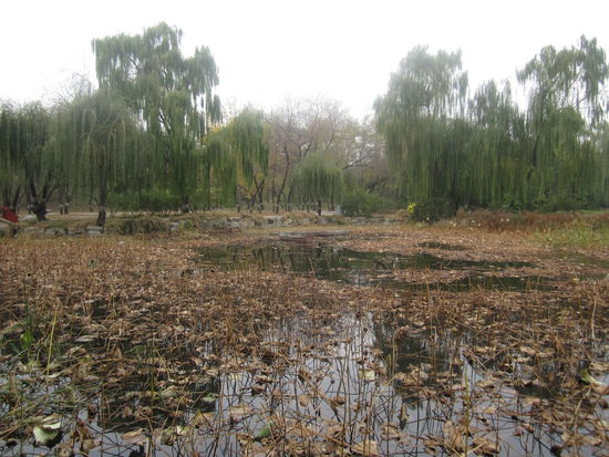 Einfach schoen zum Relaxen.