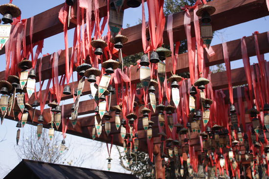 Wunsche ohne Ende...