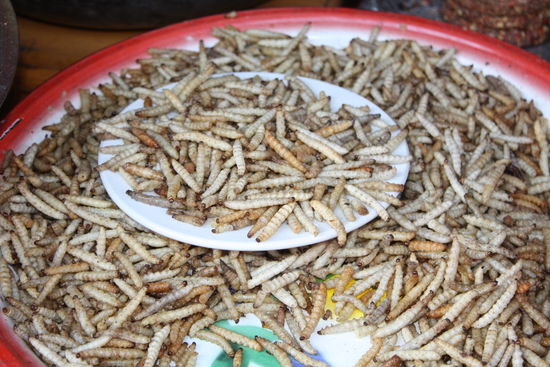 Das haben wir probiert. Schmeckte wie Staub und war daher "nicht leckel"