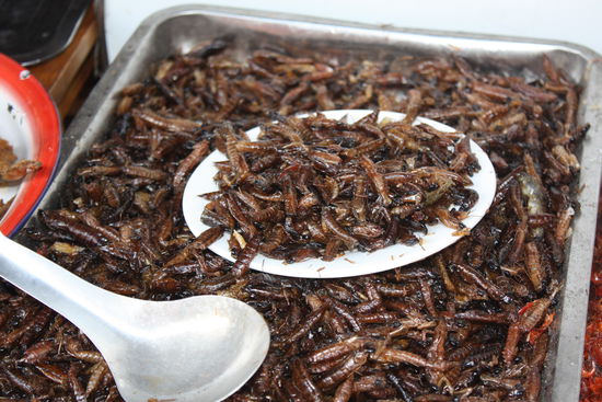 Das haben wir dann sein lassen. 