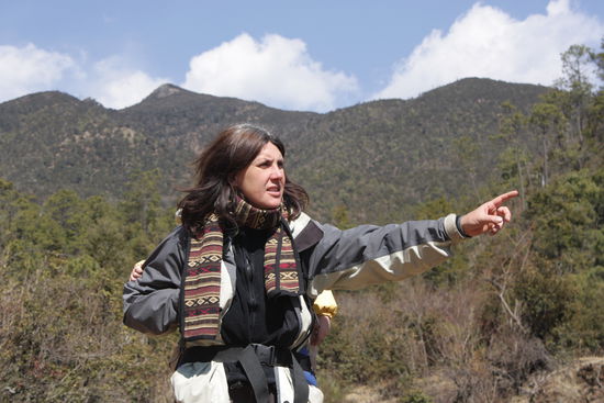 Hier hin oder da hin? Das ist die Frage!