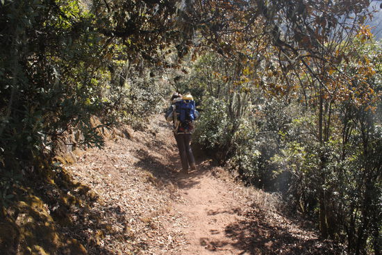 Tausch des Tragerucksacks.