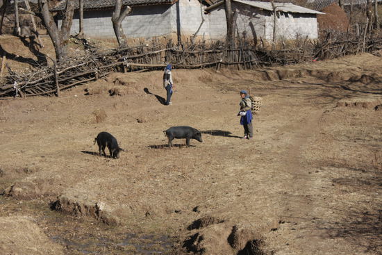 Dorfidylle oder einfach nur knallharter Knochenjob zum Ueberleben?
