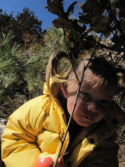 Mittagspause mir Versteckspiel. Das wichtigste ist, das Kind bei Laune zu halten und das ist fuer uns aber meist kein Problem.