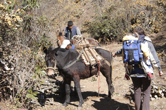 Wie das die Bauern wohl sehen. Hier wieder etwas ueber das harte Bauernleben!