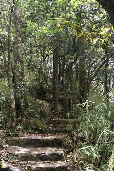 Stufen, Stufen, Stufen und mittlerweile kam auch die Sonne raus...