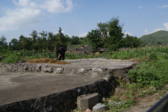 Wieder was zum Thema: Hartes Leben auf dem Bauernhof