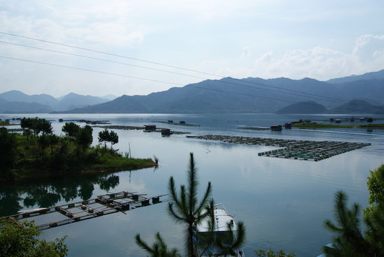 Das ist ein durchaus ansprechendes Ambiente fuer ein Fischessen, oder?? 