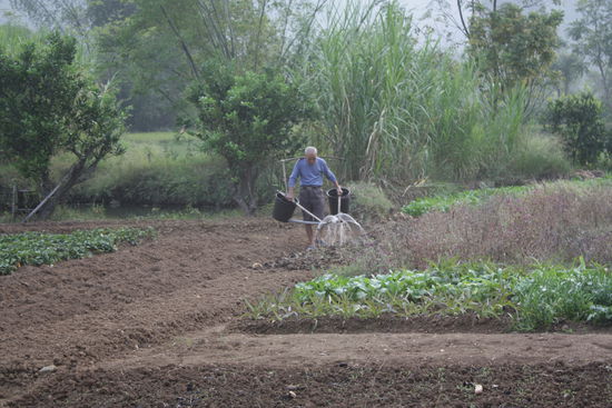... die Bewaesserungstechniken der chinesischen Bauern...