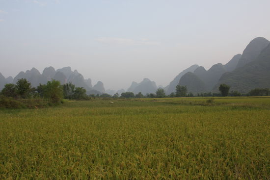 ... nochmehr Huegel in schoenster Umgebung...