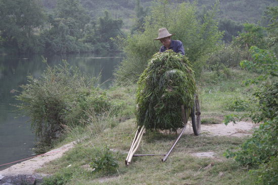 .... Bauern bei der Arbeit mit Geraeten, wie man sie in Europa nicht mehr sieht...