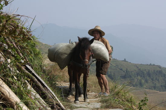 Die Bauern in China muessen wirklich unglaublich hart arbeiten. Das beeindruckt mich auf jeder Reise!!
