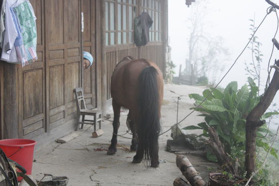 Das Dorf wacht auf. Neugier auf beiden Seiten (Fotograph und Bevoelkerung)