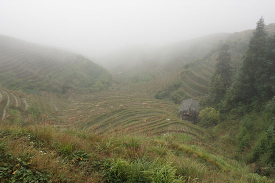 Alles ein wenig gespenstisch!