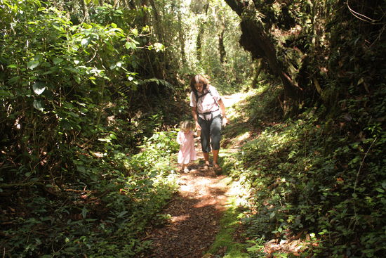 Tolle Wanderung durch schoene Natur!
